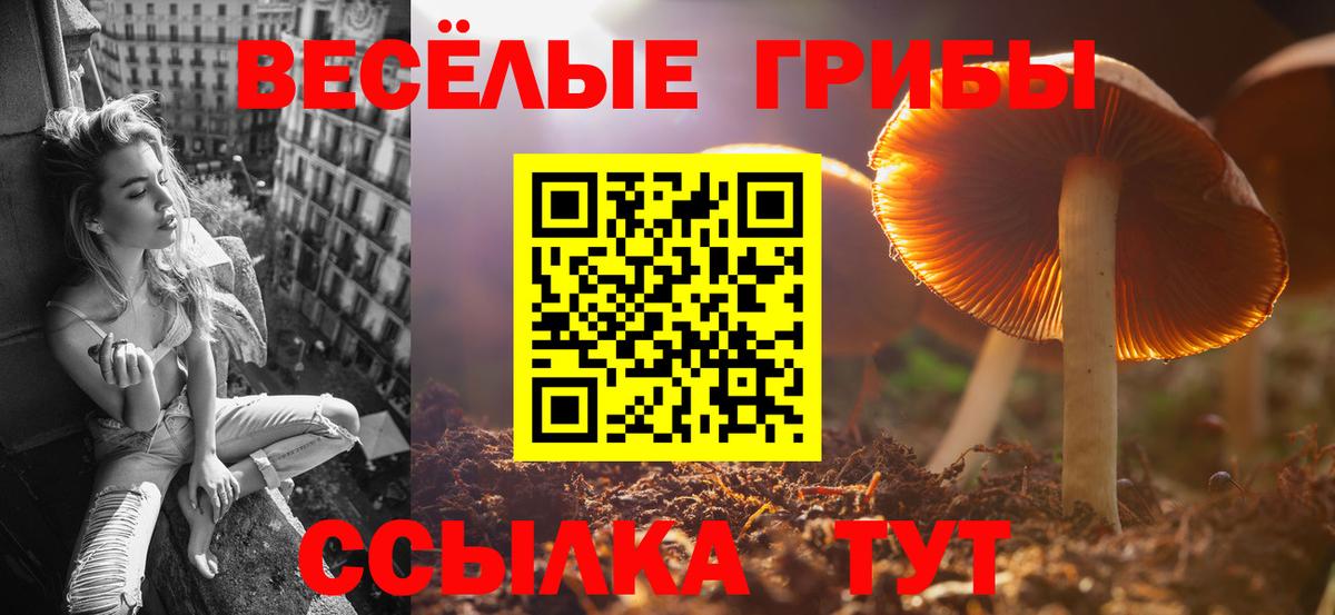 Галлюциногенные грибы мицелий Реутов